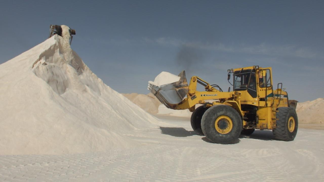 Wheel loader working a rock salt stockpile